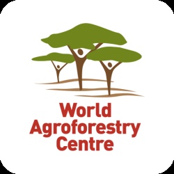 Accelerating Adoption of Agroforestry (Triple A)